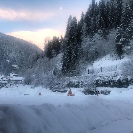 Holidays Dolomiti Apartment Resort Carisolo Luaran gambar