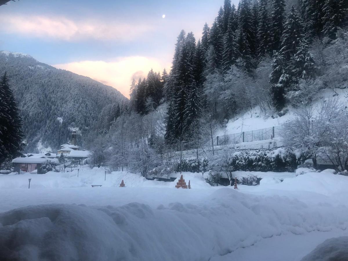Holidays Dolomiti Apartment Resort Carisolo Luaran gambar